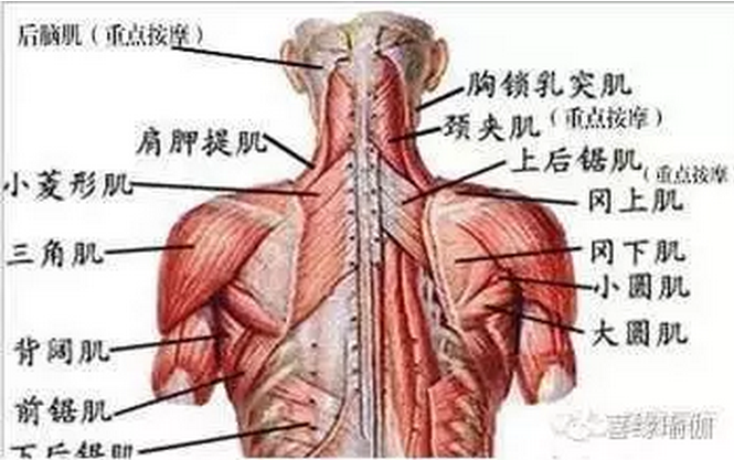 瑜伽损伤(二)